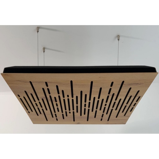 A Cable System "HangItUp" For Hanging Panels On The Ceiling.